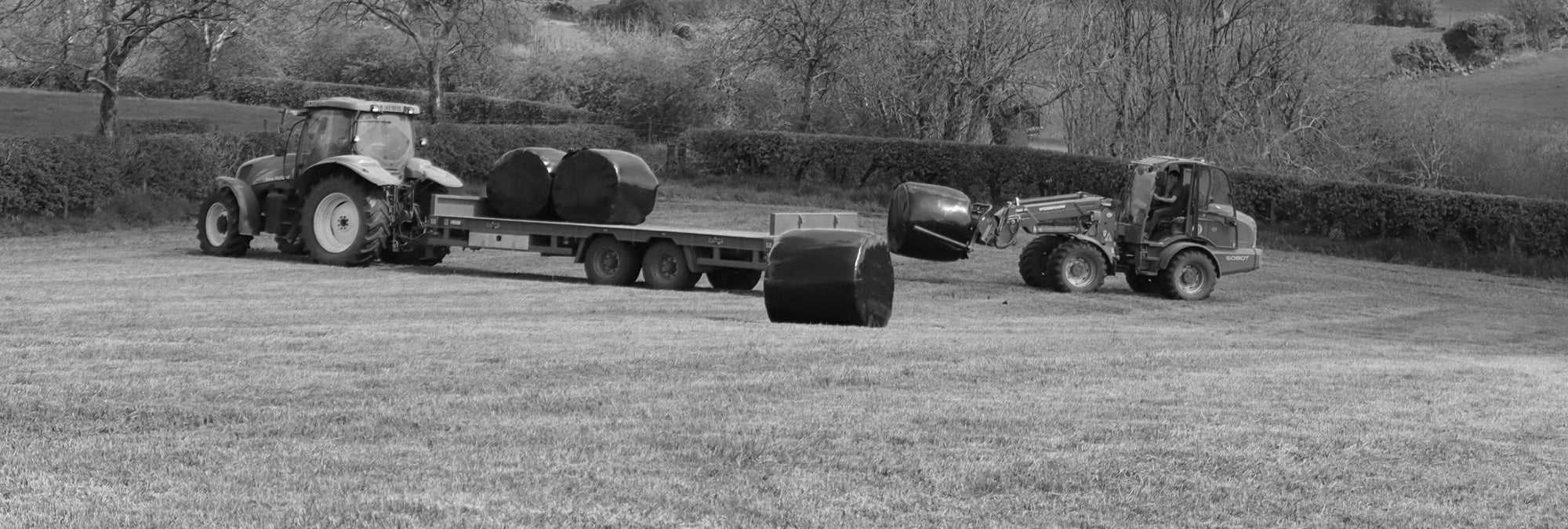 Welcome to Our Store